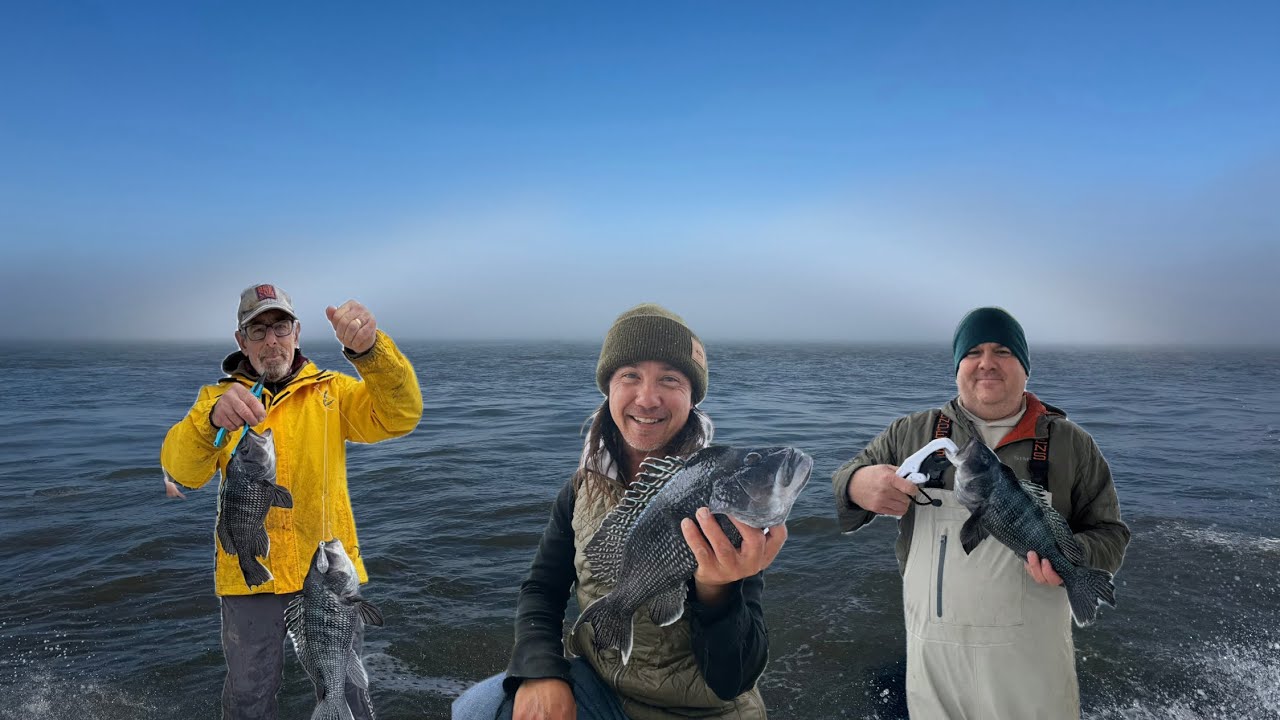 We Caught THE WHOLE Ocean! Nearshore Charleston Fun and a nice mixed bag! CATCH CLEAN & COOK