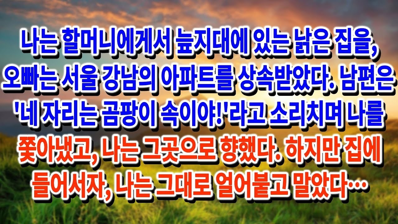 나는 할머니에게서 늪지대에 있는 낡고 허름한 집을 상속받았고, 오빠는 서울 강남의 아파트를 상속받았다  남편은 집에서 나를 쫓아내며 화를 내며 '너…ㅣ황혼연애ㅣ노후사연ㅣ재혼