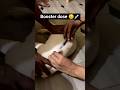 Vaccination day#labrador #doglife #dog #pets #gunda #puppy #hiriyur #dailyvlog #dailyupdates