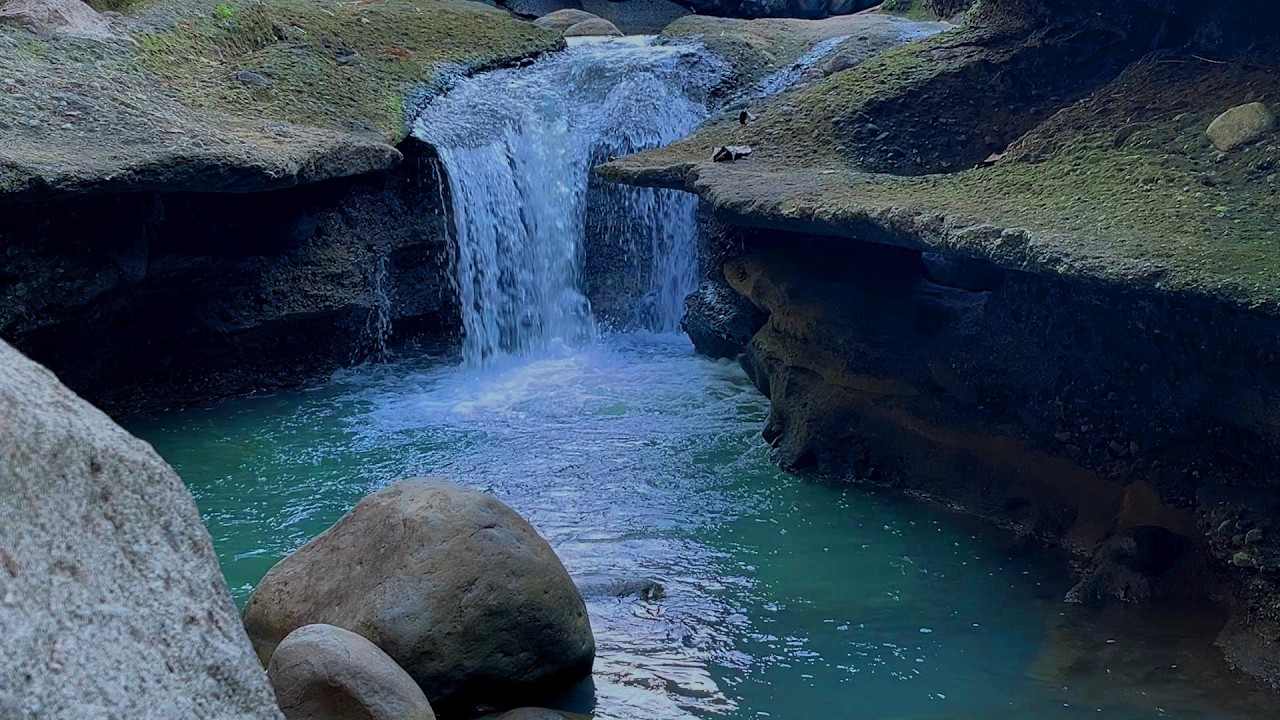 Relaxing Mountain Stream | River Flow & Calm Forest Nature Sounds