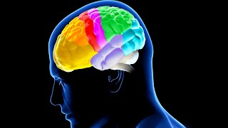 The Uniqueness of Man. 8. The Brain. Professor Stuart Burgess. Creation Evidence.