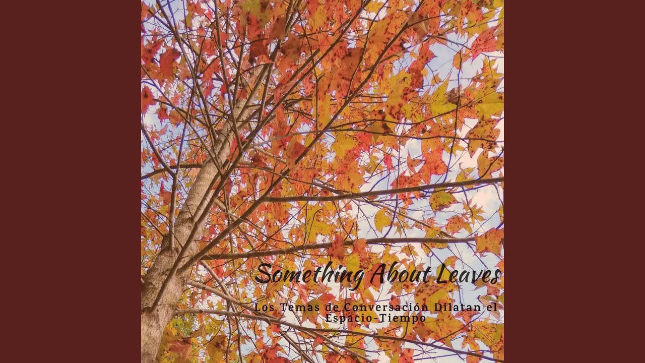 Watch Something About Leaves on YouTube Watch Something About Leaves on YouTube