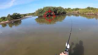 Why 90% Of Anglers Don't Catch As Many Fish As They Should by Salt Strong 6,094 views 4 days ago 5 minutes