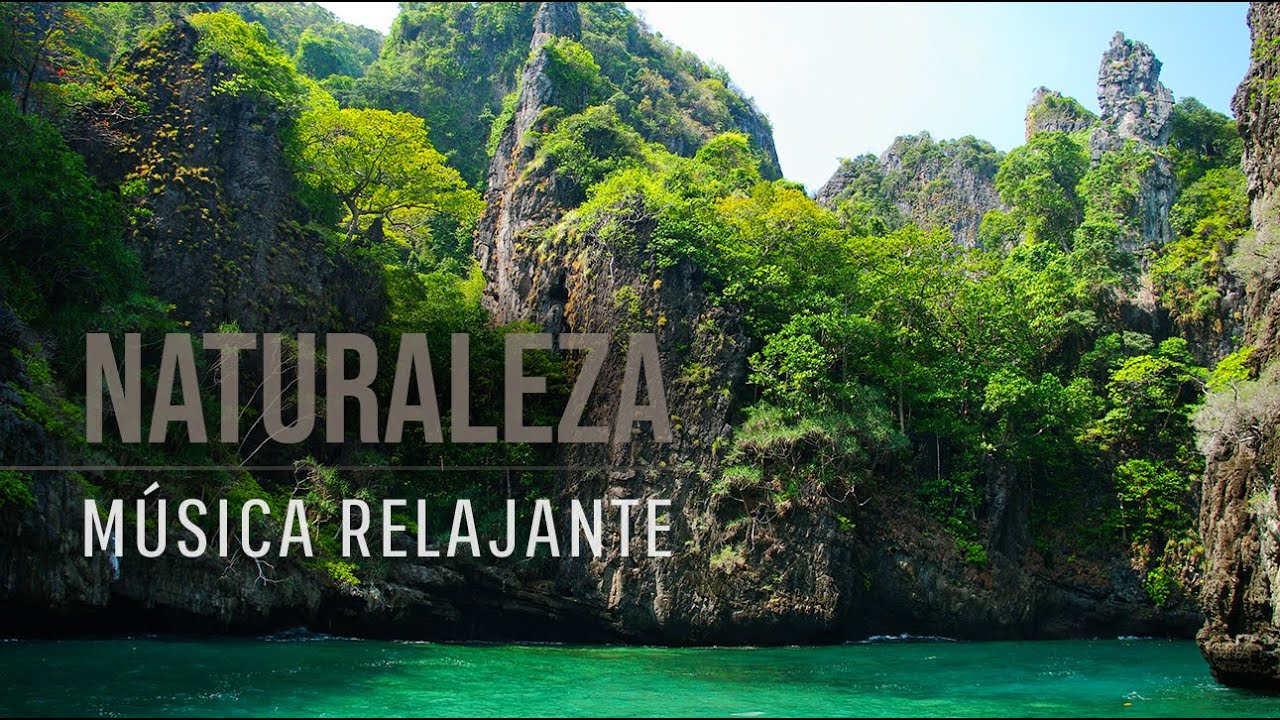 Relájate con Música y Sonidos de la Naturaleza: Pájaros para Meditar ...
