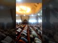 مسجد الميناء البري مسجد الميناء البري