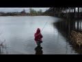 Рыбалка на р.Самара в дождь(окунь, судак)