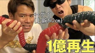1億再生したはじめしゃちょーの巨大グミをゲイのゴリマッチョと食ったらとんでもない化学反応が起きたww