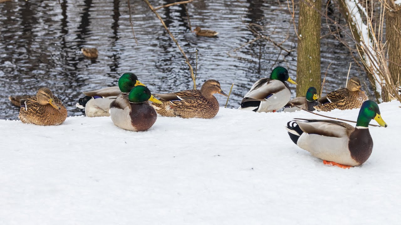 тур на 8 марта из нижнего новгорода