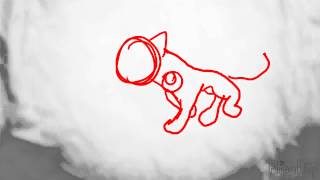 Cat walking forward Animation test #2