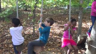 Primary Students on the Low Ropes Course