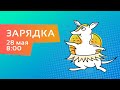 Зарядка - Керигмафест - 28 мая