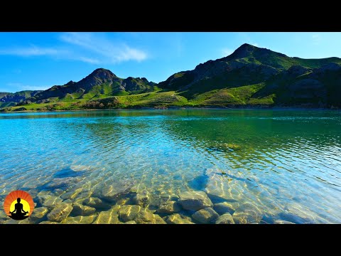 🔴 Relaxing Music 24/7, Calming Music, Relaxation Music, Meditation Music, Sleep Music, Study Music