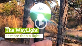 SylvanSport WayLight Light Up Hiking Pole by SylvanSport 2,483 views 4 years ago 57 seconds