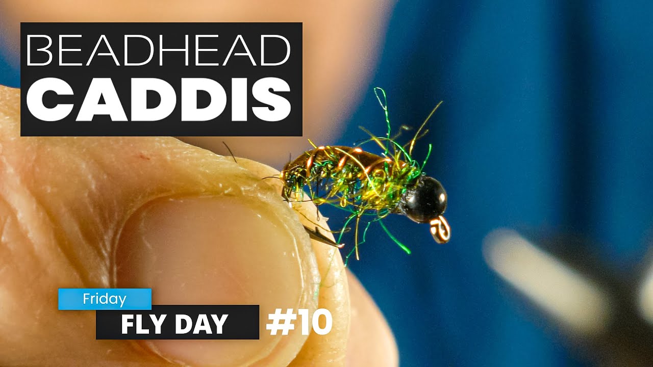 How to tie a bead head CADDIS pattern