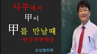 갑목이 있을때 10천간들의 변화와 역할. 오상유진석명리학강의