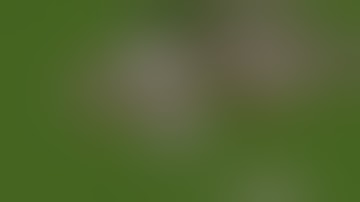 Speed Build #1 To Prison server on Minecraft server