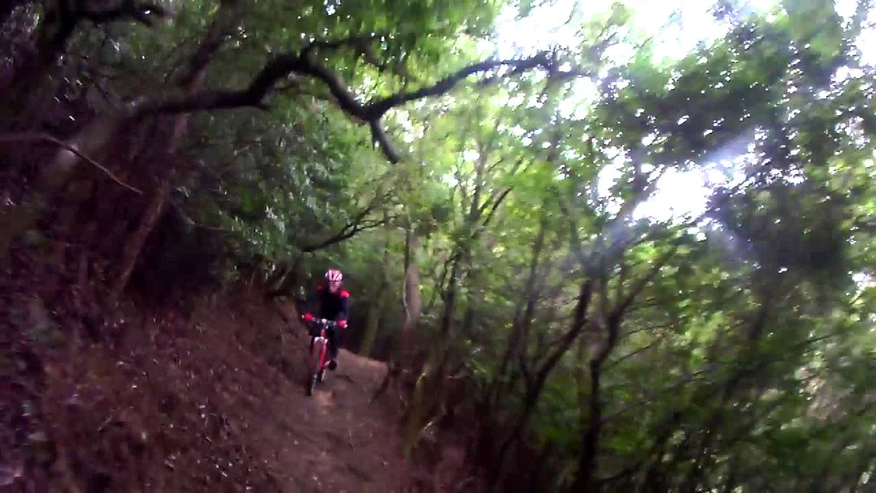 マウンテン バイク コース 東海 マウンテン バイク コース 東海