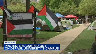DePaul University proPalestinian encampment draws counterprotesters