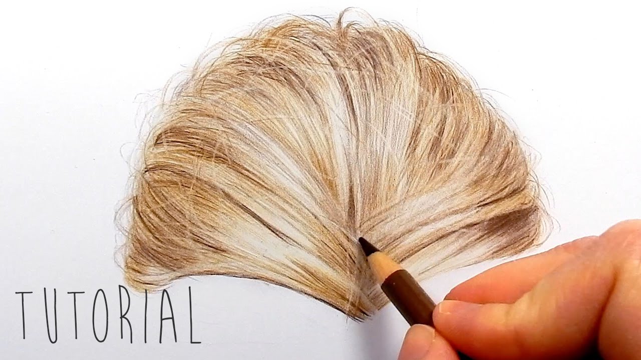 How to Draw Hair with Colored Pencils