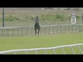 Lot 1 - ONE WORLD - ESPECIALLY (IRE)