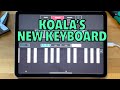 Koala's New Keyboard