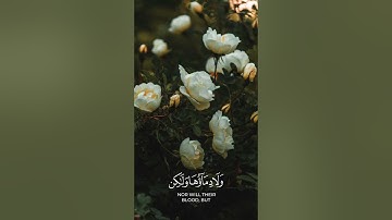 لن ينال الله لحومها ولا دماؤها||🌿#فارس_عباد #سورة_الحج#اكسبلور #قرآن #راحة_نفسية #طمئن_قلبك