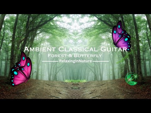 Watch Ambient Classical Guitar: Forest Serenity & Butterfly Harmony | Relaxing, Stress Relief & Calm Music on YouTube