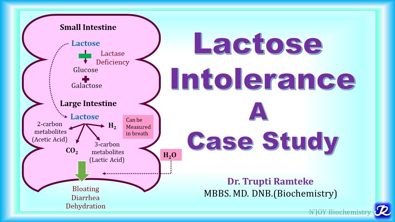 Enzymes And Lactose Intolerance Lab Answers Enzymes And Lactose Intolerance Lab Answers