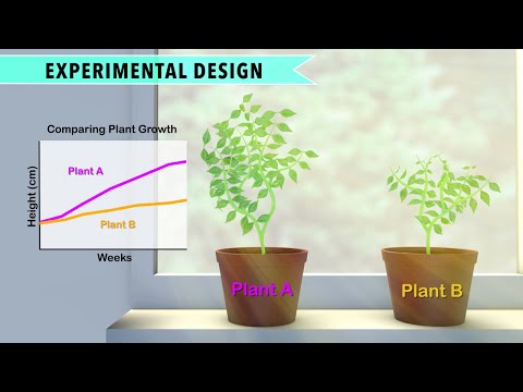What Are Some Controlled Variables In A Plant Growth Experiment