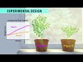 Designing Controlled Experiments to Test Hypotheses in Plant Growth