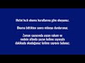 Okuma Hızını Ölçme Egzersizi - 5. Metin - BUZ ÜSTÜNDE YOLCULUK