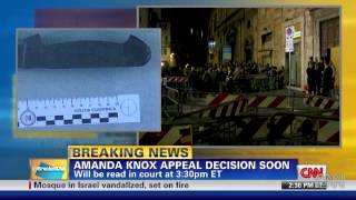 DNA expert explains science involved in the Amanda Knox trial    CNN Newsroom   CNN com Blogs3