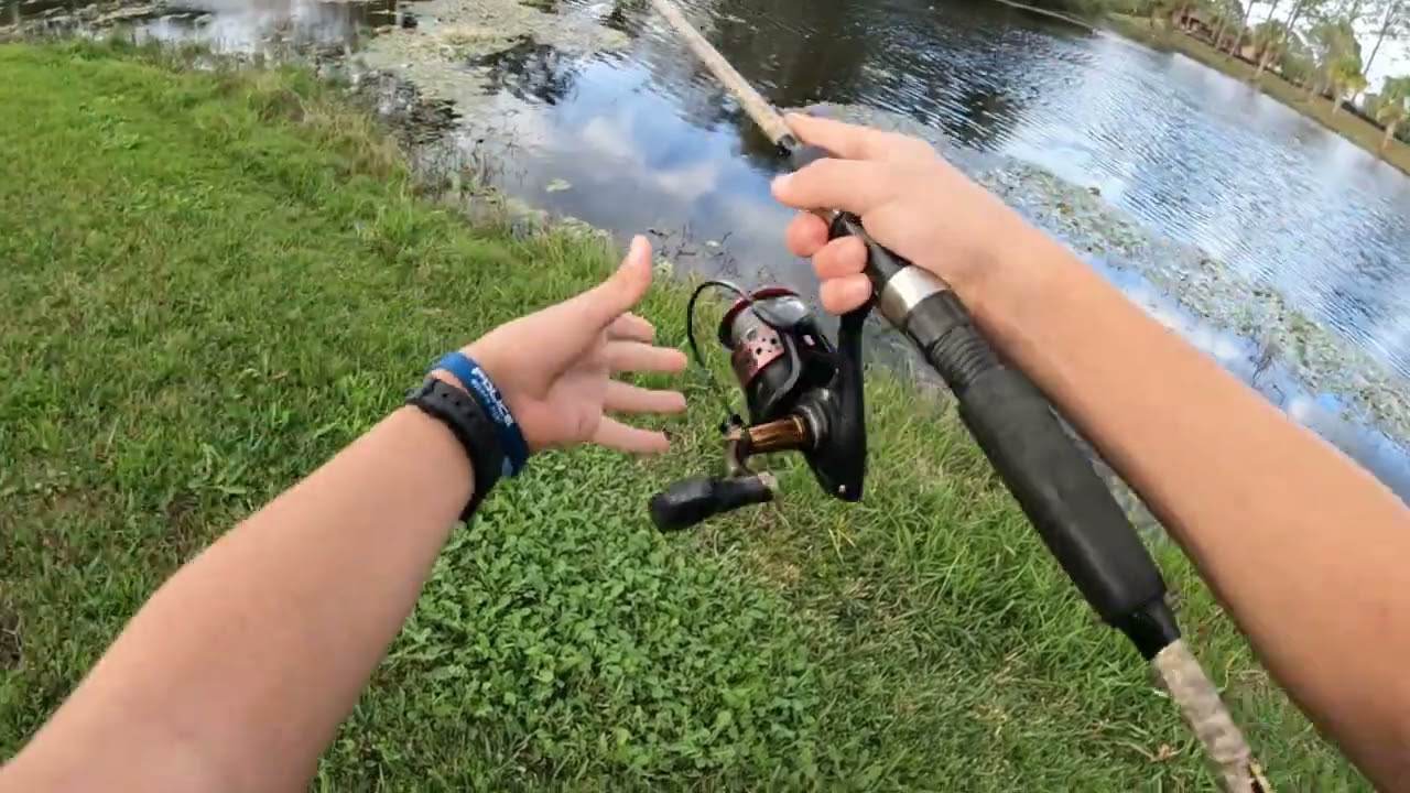 I caught THIS using a bass fishing kit from WALMART!!!!