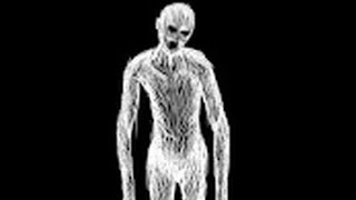SCP-8342 Invasion of the Skin-Snatchers If Life of Luxury Were to Exist in the SCP Universe
