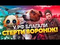 ⚡️Ці СИМВОЛИ ВІЙНИ не забудуть! Хто з росіян зганьбив Путіна та як у РФ закликали бомбити Вороніж