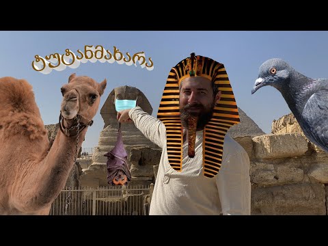ვიდეო: სად წავიდეთ ნოემბერში ეგვიპტეში