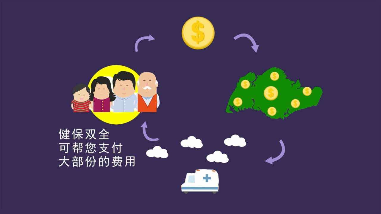 3M's: MediShield (Mandarin)