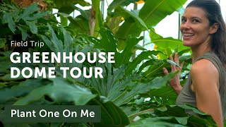 Out-of-this-World GREENHOUSE DOME TOUR in Upstate NY — Ep 212