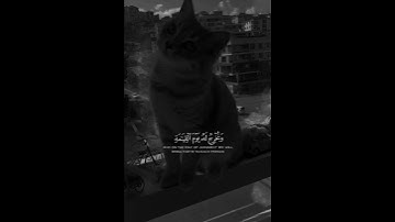 وكل إنسان ألزمناه طائره في عنقه #تلاوة_خاشعة_هادئة #قرآن #تلاوات