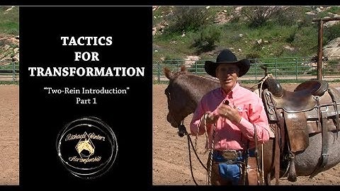 Two-Rein Introduction: Part 1 by Richard Winters & Weaver Leather