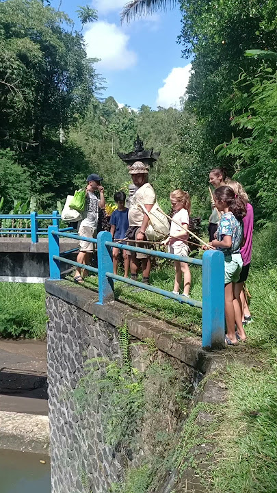 #shaya #junglekitchen #kids #academy our first participants have fun #bali  #natureschool #family