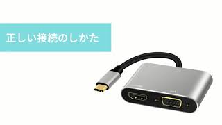 RayCue USB C HDMI VGA 変換 アダプタ USB Type C HDMI VGA 同時表示可 4K*2K @30Hz 高解像度(Thunderbolt 3と互換性) Macbook