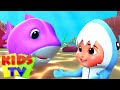 Cá mập con | Vần điệu trẻ | Bài hát cho trẻ em | Kids Tv Vietnam | Hoat hinh 3d