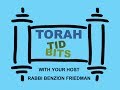 Torah from Sinai