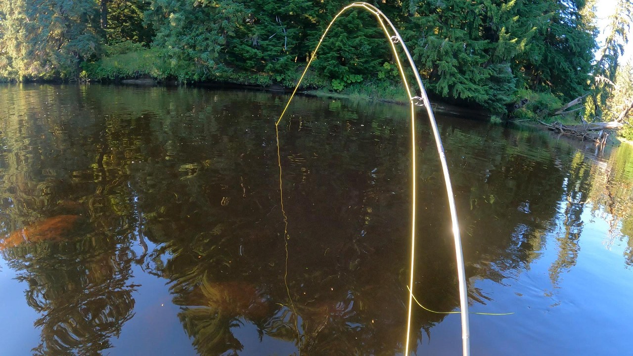 bass fisherman goes fly fishing – vlog