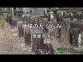 2026-5-31 神様のたくらみ/青葉市子(宮崎市三杖墓地)