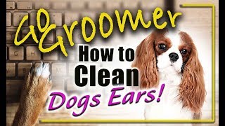 How to clean Dogs ears