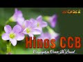 Ccb Hinos Cantados Congregação Cristã no brasil ☘️Hinos Ccb Cantados Hinario 5 Hinos Vol 21