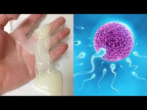 improve-sperm-count-naturally-|pretty-heart-tv|