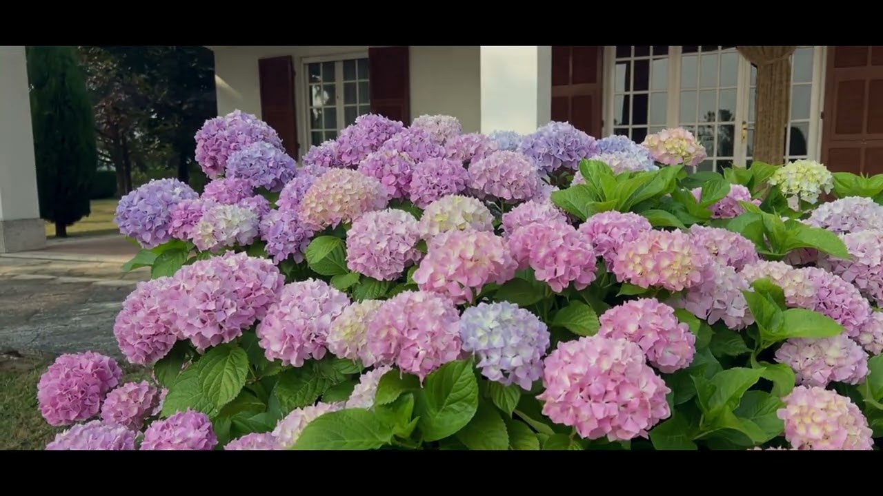 👉   VILLA CON SPLENDIDA VISTA A PASTURANA ❗❗